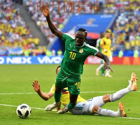 世界杯投注app进攻型球队真的更稳吗 完整指南来了